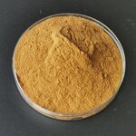 Red Panax Ginseng Capsules - Tongkat Ali Ashwagandha Turkesterone Maca Tribulus Fadogia