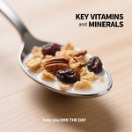 Raisin Date Pecan Cereal - Free Sample Granola Clusters Non-GMO High Fiber Breakfast