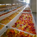 Organic Maca Root Capsules - Men Adult Energy Stamina Immunity Herbal Supplement