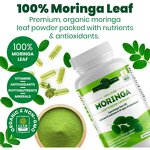 Organic Moringa Capsules - Free Sample Energy Metabolism Immune Antioxidant Pills