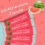 Watermelon Super Food Powder - 14 Packs Antioxidant Happy Cleaner Adult