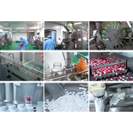 Pumpkin Seed Oil Softgels - OEM Adult Factory Wholesale Custom Capsule