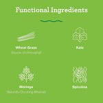 Super Greens Powder Manufacturer - Superfood with Spirulina Moringa Kale for Shakes