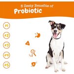 Dog Probiotic Soft Chews Manufacturer - for Gut Flora Bowel Support & OEM