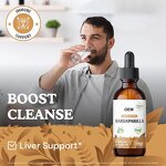 Sarsaparilla Root Liquid Drops Manufacturer - Alcohol Free Vegan Organic & OEM