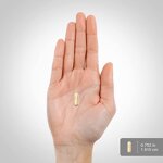 Gotu Kola Capsule Manufacturer - GMP Wheat-free Organic Extract & OEM