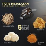 Shilajit Gummies Manufacturer - Organic Pure Himalayan with Ashwagandha & Custom Private Label
