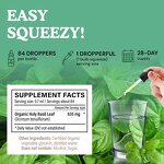 Holy Basil Extract Liquid Drops Manufacturer - Organic for Calmness & OEM Best Selling