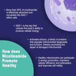 NAD+ Gummies Manufacturer - 500mg with Vitamin B3 Niacinamide Collagen Peptides & OEM