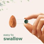 Spirulina Tablets Manufacturer - Organic Blue 3000mg per Serving