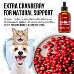 Pet Multivitamin Liquid Drops Manufacturer - 10 in 1 Cranberry for Pets & OEM