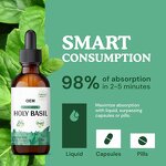 Holy Basil Extract Liquid Drops Manufacturer - Organic for Calmness & OEM Best Selling