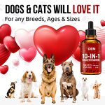Pet Multivitamin Liquid Drops Manufacturer - 10 in 1 Cranberry for Pets & OEM