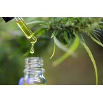 Grapefruit Seed Extract Liquid Drops Manufacturer - for Gut Health Digestion & Immune