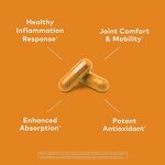 Turmeric Curcumin Capsules Manufacturer - Organic Energy Providing & OEM Wholesale