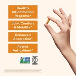 Turmeric Curcumin Capsules Manufacturer - Organic Energy Providing & OEM Wholesale