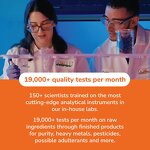 NAC Capsules - Free Radical Protection Cellular Health Men Women Supplement