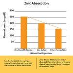 Zinc Capsules - Mono Methionine Chelate Immune Health 120 Count Adult