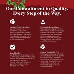 CoQ10 Capsules - Red Rice Yeast Cholesterol Heart Health 120 Count