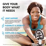 Glucosamine Chondroitin Capsules - 120 Count Joint Comfort Support