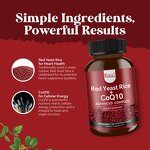 CoQ10 Capsules - Red Rice Yeast Cholesterol Heart Health 120 Count