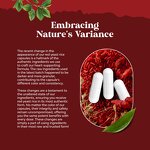 CoQ10 Capsules - Red Rice Yeast Cholesterol Heart Health 120 Count