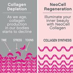 Collagen Vitamin C Tablets - 250 Count Hair Skin Nails Joint Support Supplement