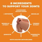 Glucosamine Chondroitin Capsules - MSM Turmeric Boswellia OEM Adult Supplement