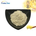 Royal Jelly Powder Manufacturer - Natural Pure Wholesale Price