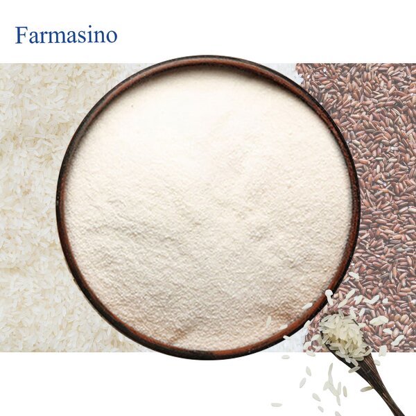 Rice Protein Powder Manufacturer - Hydrolyzed Organic 80% for Private Label