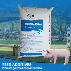 Lysine Manufacturer - Feed Grade High Purity for Poultry