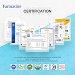 Rice Protein Powder Manufacturer - Hydrolyzed Organic 80% for Private Label