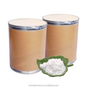 WS-23 Cooling Agent Powder Manufacturer - Odorless Colorless for Food Flavors CAS 51115-67-4