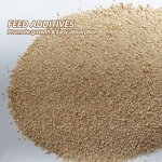 Lysine Powder Manufacturer - Animal Feed Additive Amino Acid with Best Price