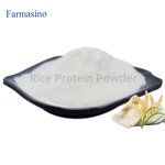 Rice Protein Powder Manufacturer - Hydrolyzed Organic 80% for Private Label