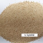 L-Lysine Hydrochloride Manufacturer - Feed Grade 98.5% HCL