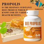 Bee Propolis Capsules - Supply High Quality OEM/ODM Extract Supplement