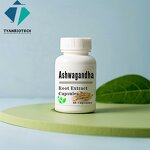 Ashwagandha Root Capsules - Supply High Quality OEM/ODM Herbal Extract
