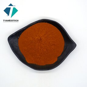 Grape Seed Extract Powder - Best Selling 100% Natural Antioxidant Supplement