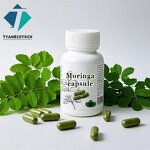 Moringa Leaf Capsules - Private Label Vegan Extract Powder Wholesale Supplement