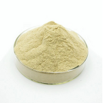 Sodium Alginate Phosphate - Industrial Grade FCC/EU Standard Food Additive