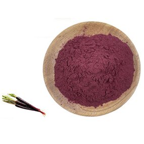 Black Carrot Powder - Wholesale Pure Food Grade Natural Coloring Agent