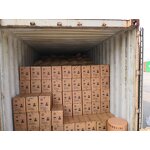 N-Acetyl Cysteine Capsules - L-Cystine NAC Food-Based Flavoring Agent