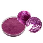 Red Cabbage Powder - E60 Food Grade FCC Certified 25kg Drum Coloring Agent