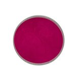 Beetroot Concentrate Powder - E30/100 FCC Certified 25kg Drum Coloring Agent