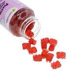 Kids Vitamin Gummies Manufacturer - Immune with Vitamin C Zinc Echinacea for Children