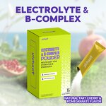 Electrolytes Powder Manufacturer - Hydration with B-Complex for Adults Men Women