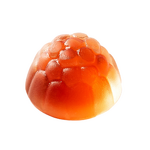 Focus Gummy Manufacturer - Brain Support Candy for Adult & Private Label