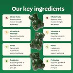 Supergreens Gummies Manufacturer - Multi-vitamin with Fiber for Digestive Health & Private Label GMP
