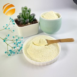 Source Supplier Natural Fresh Bee Honey Royal Jelly Powder Custom Blend